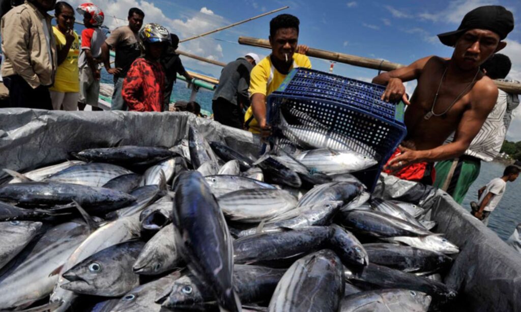 Hasil Perikanan Berau 2024 Semester 1 Capai 13.909 Ton media tani