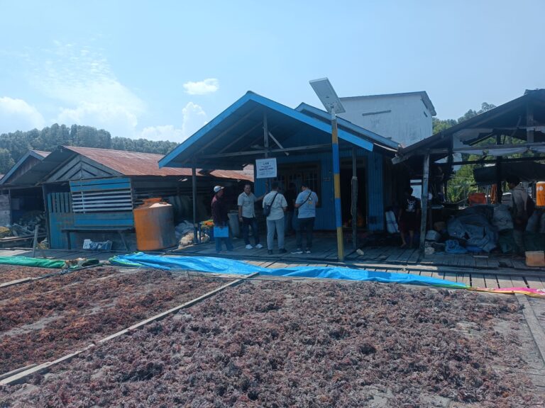 RUMPUT LAUT Berau,